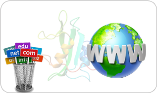 domain name registration chennai india